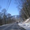 IMG 0076.thumb