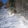 IMG 0064.sized