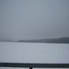 IMG 0088.sized