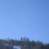 IMG 0081.sized