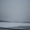 IMG 0089