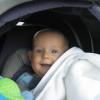IMG 0029