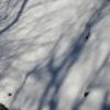IMG 0067.sized