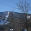 IMG 0078