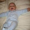 IMG 0039.sized