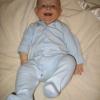 IMG 0042