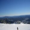 IMG 0047