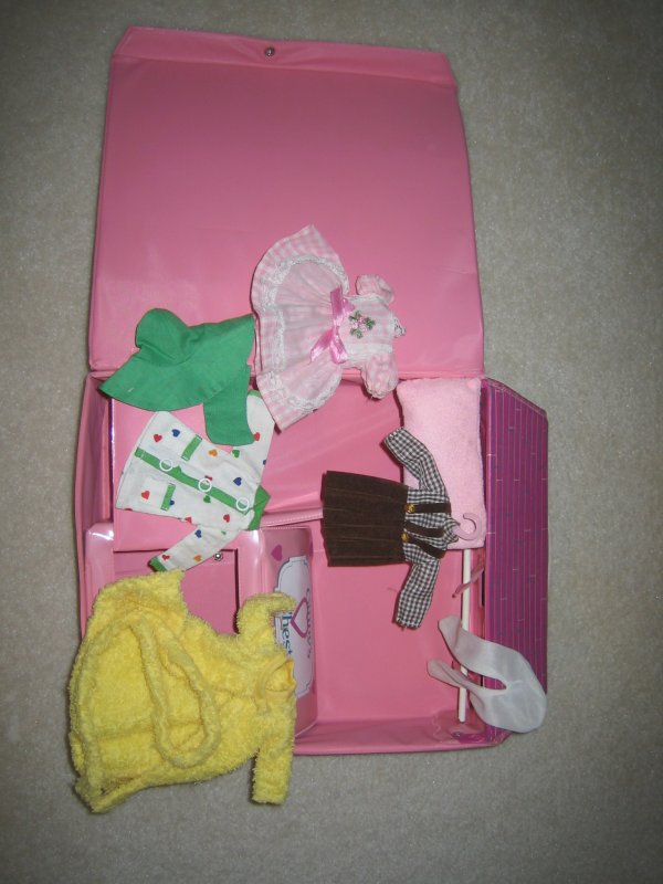 Ginny Carry Case
